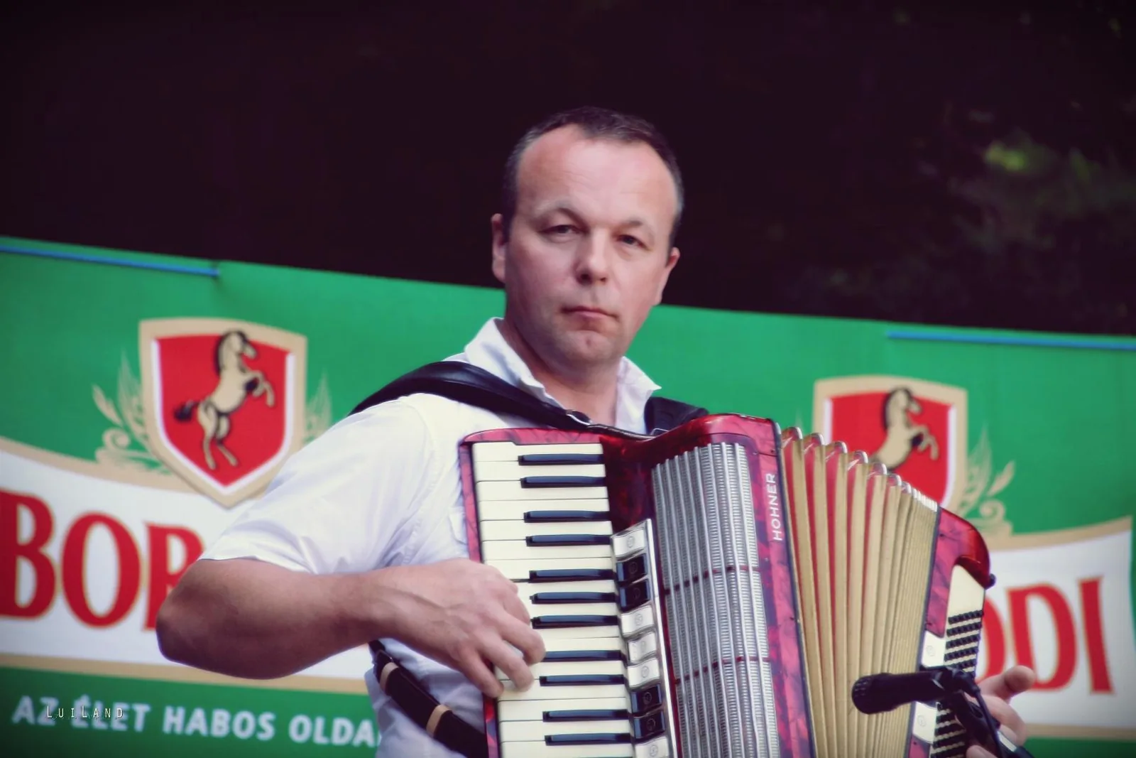 2018 Falunap Fotó: LuiLand