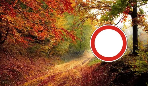 'Erdőlátogatási korlátozás' cikk borítóképe