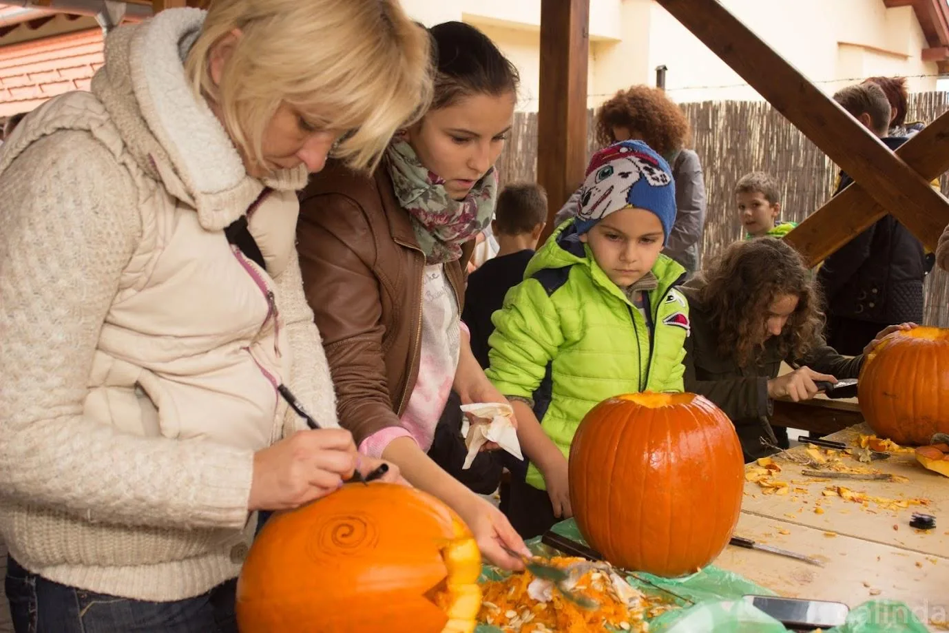 Fotók 1 album: Babai Lalinda