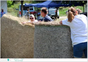 Fotók, Útirány.hu