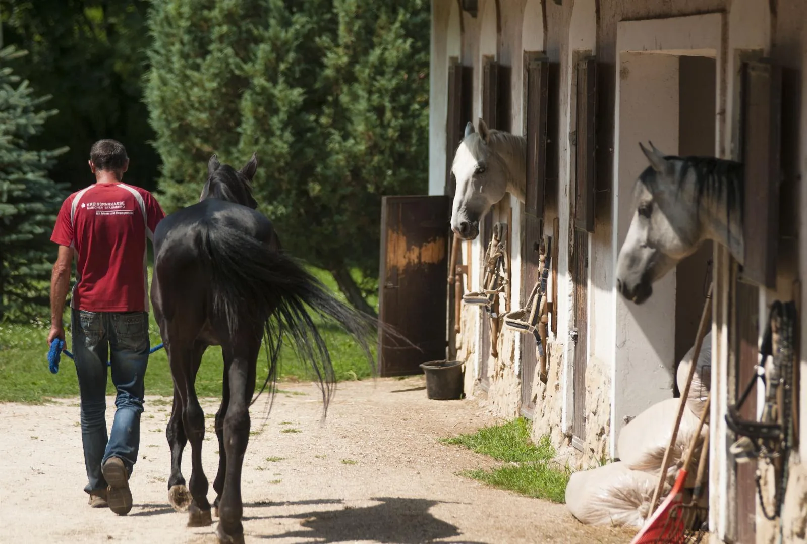 Fotó: Pesty Márton