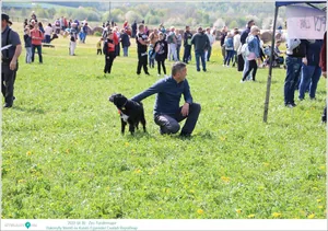 Fotók, Útirány.hu: