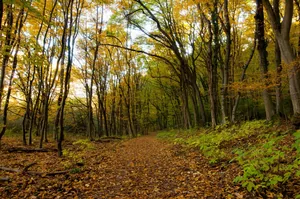 Fotó: Pesty Márton