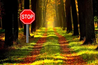 Erdőlátogatási korlátozás borítóképe