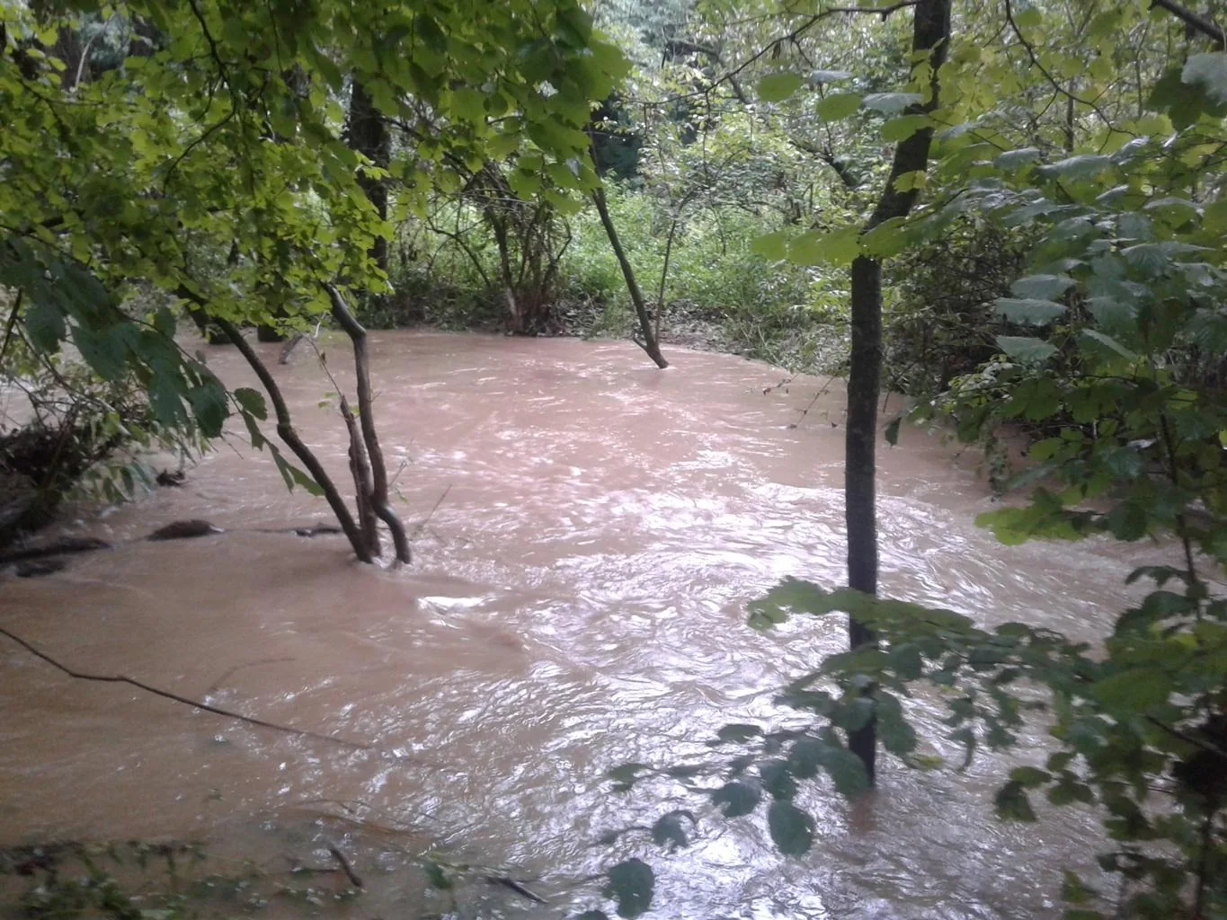 Gerence Pénzesgyőr 2018.09.04.