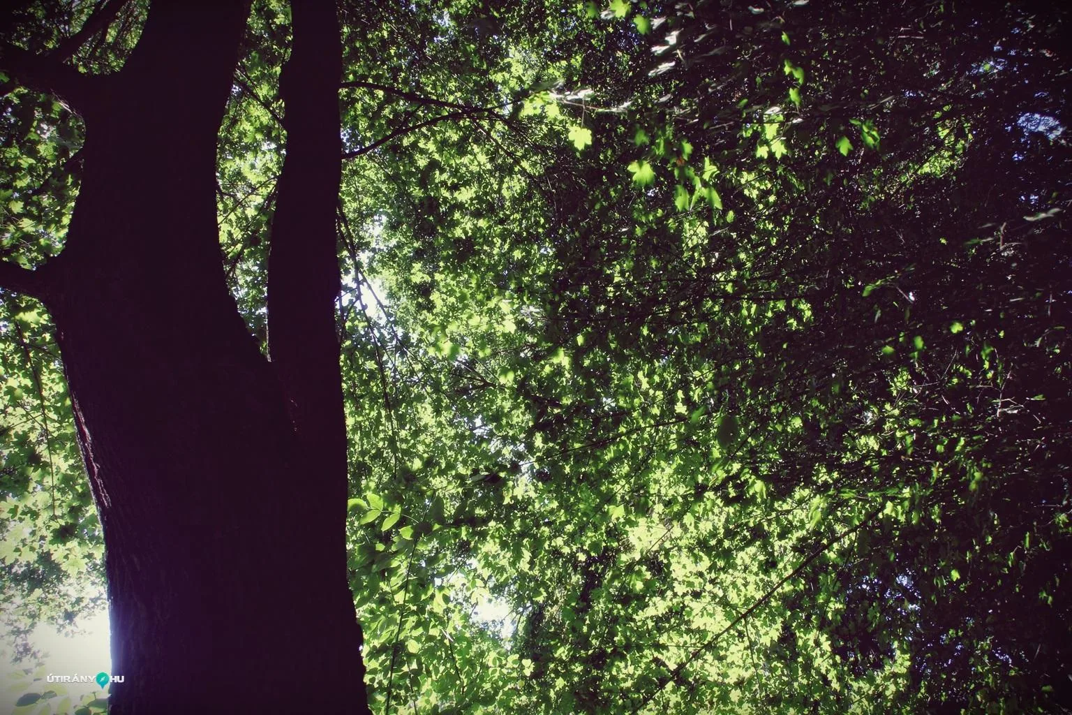 Teremtés Napja 2018. Fotók: Útirány.hu