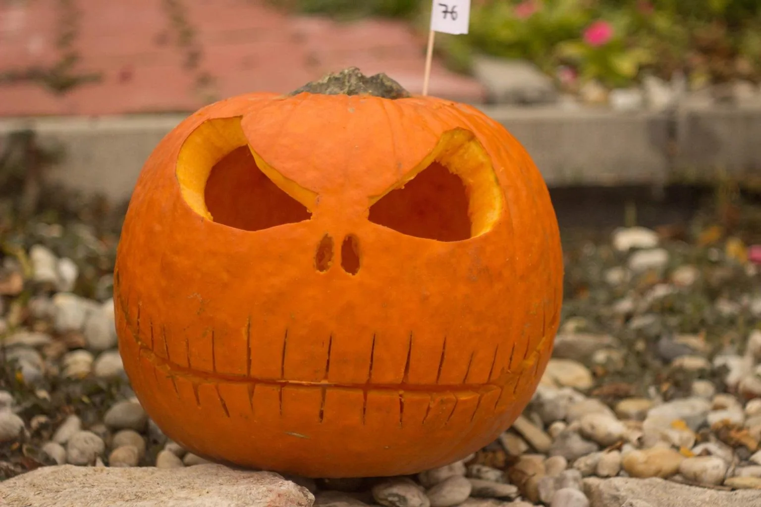 Tökfesztivál 2018. Képek: Babai Lalinda