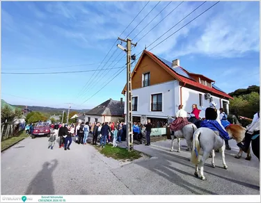 Szüreti felvonulás és Bál