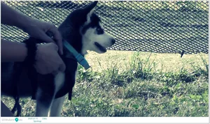 Sportnap 2020 Képek