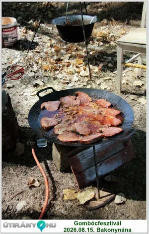 Képek