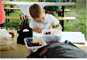 Fotók, Útirány.hu: