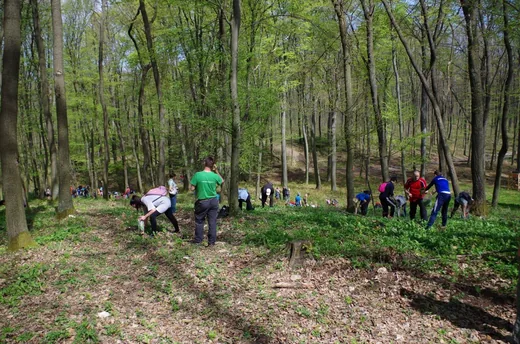 'lll. Fenyőfői Medvehagymás Családi Napról: Beszámoló' cikk borítóképe