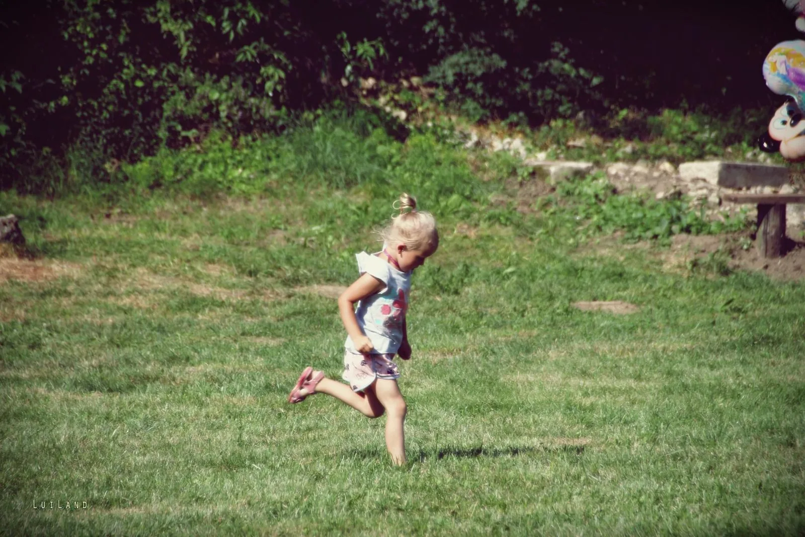 2018 Falunap Fotó: LuiLand