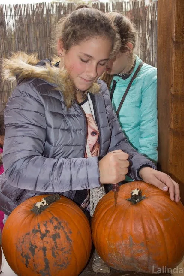 Fotók 1 album: Babai Lalinda