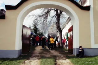 12. Medvehagymás napok borítóképe