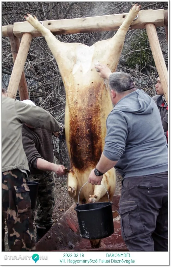 Fotók: Útirány.hu