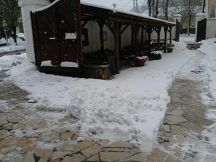 Szent Mauríciusz arborétum és kert zárva! borítóképe