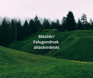 Álláshirdetés borítóképe