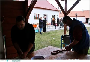 Pénzesgyőr, Falusi Disznóvágás 2025