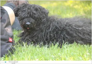 Fotók, Útirány.hu: