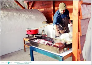 Fotók, Útirány.hu