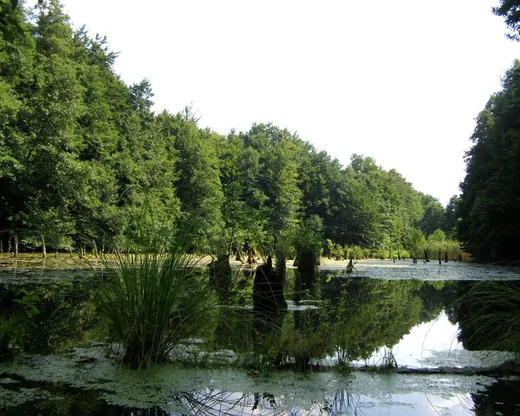 'Megihletett egy látogatót Bakonybél és környéke...' cikk borítóképe