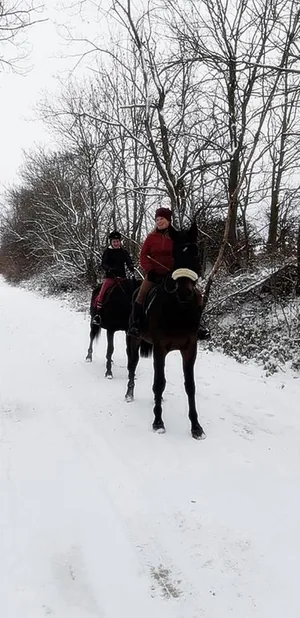 2018 tájfutás képekben
