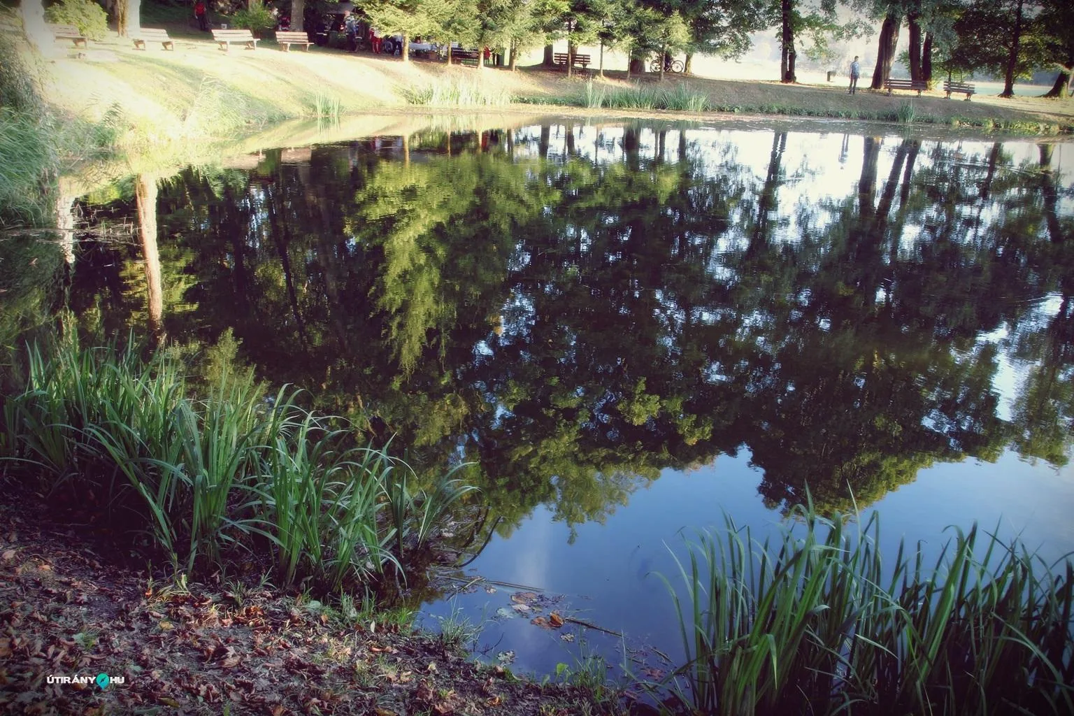 Teremtés Napja 2018. Fotók: Útirány.hu