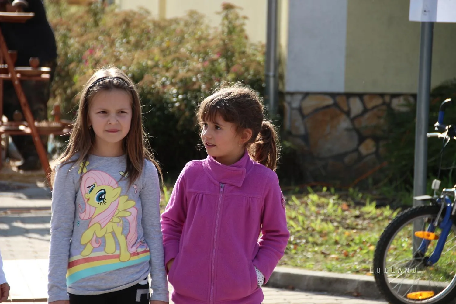 Kora délután, fotók: BakonyiHírek