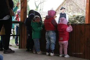 Fotók és kisfilm: Útirány.hu