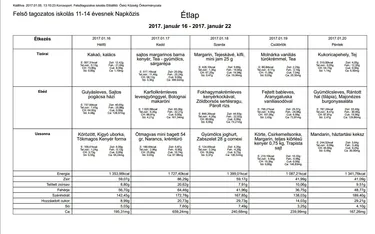 Iskola napközis felsős