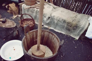 Nemzeti Vágta, szurkoljunk együtt a Bakonynak!