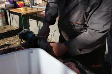III. Falusi disznóvágás beszámoló fotókkal