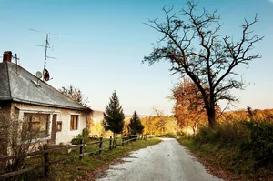 Fotó: Pesty Márton