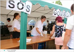 Fotók, Útirány.hu: