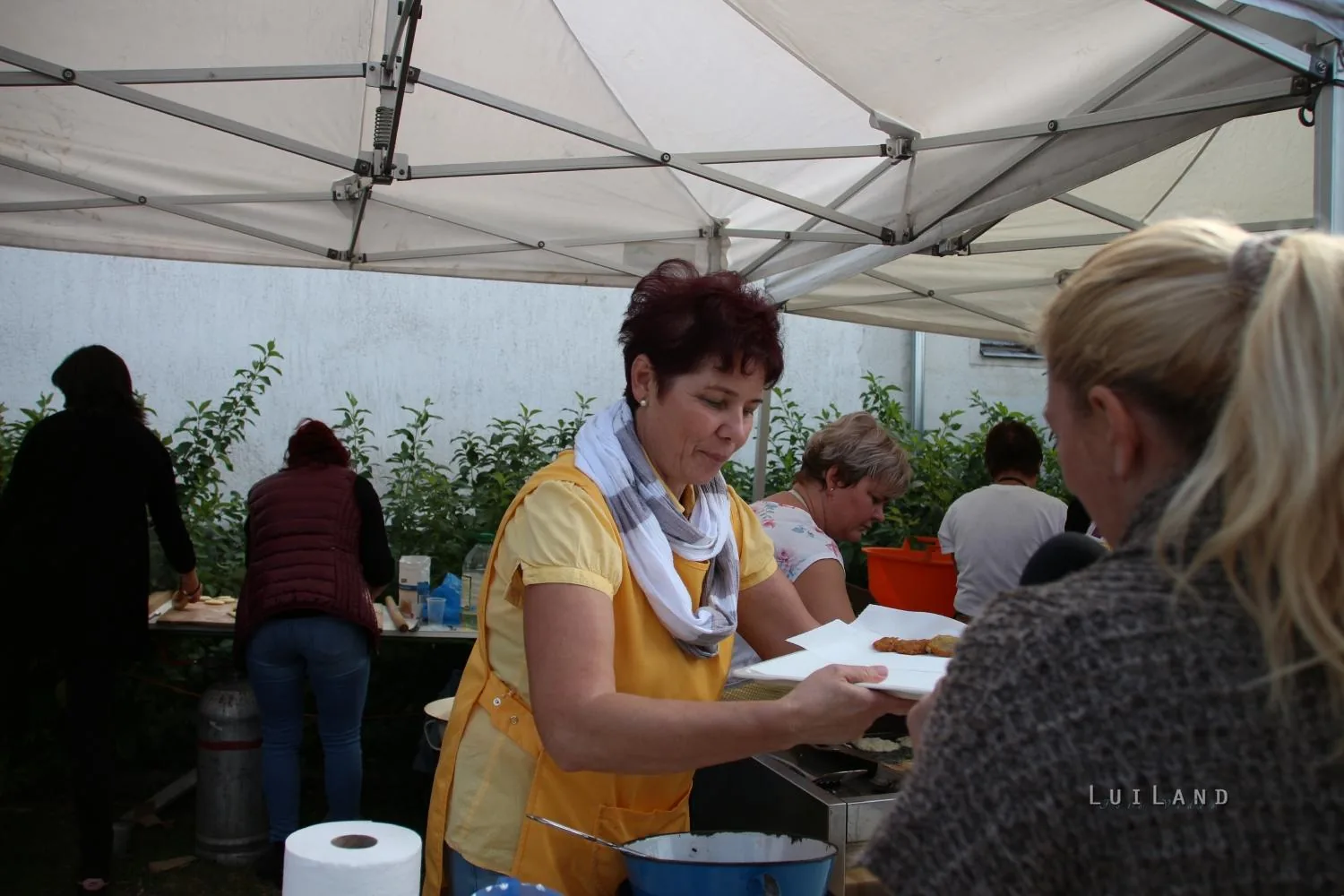 Kora délután, fotók: BakonyiHírek