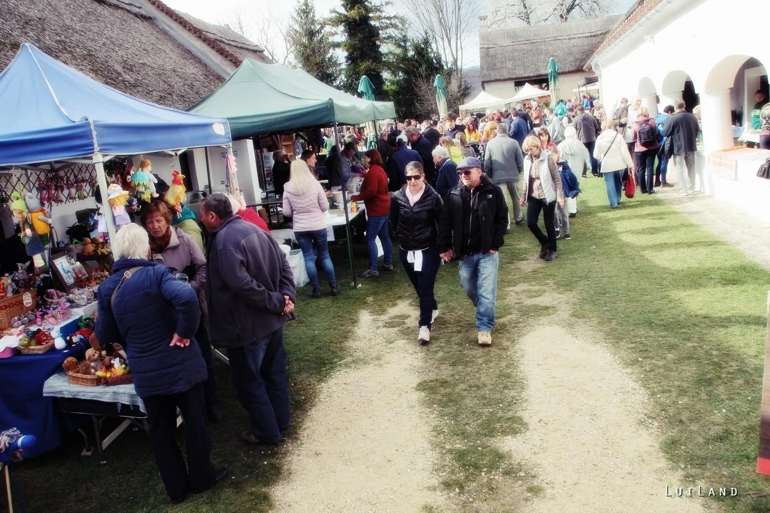 12. Medvehagymás napok. Fotók: Sárfi Lajos