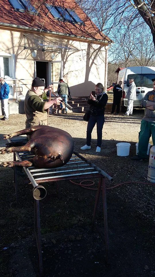 Fotók: Kovács István