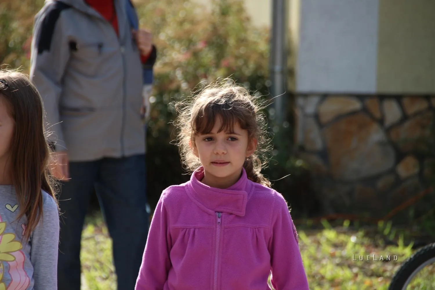 Kora délután, fotók: BakonyiHírek