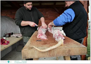 III. Hagyományos disznótor / Képek: Útirány.hu