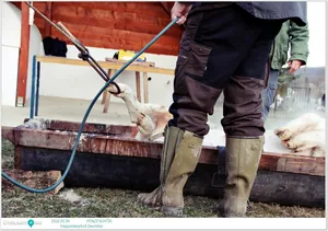 Fotók, Útirány.hu