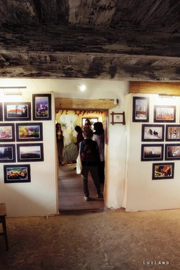 12. Medvehagymás napok. Fotók: Sárfi Lajos