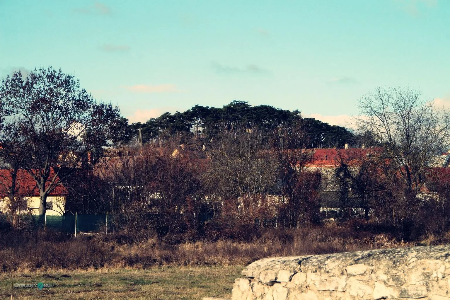Szilveszteri futás 2018. / Fotók: Útirány.hu