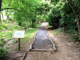 Hiányos a mezítlábas park, Tabajdon borítóképe