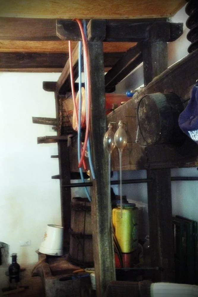 Pincefesztivál 2019 / Fotók: Útirány.hu