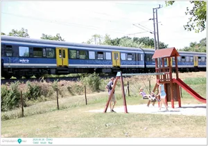 Parasztolimpia és főzés