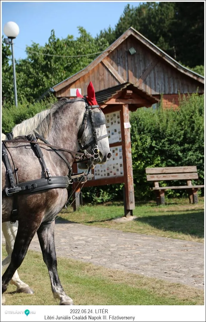 2022.06.24. képekben