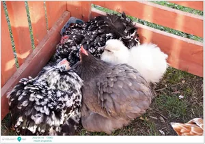 2022.04.14. csütörtöki nap Fotók: Útirány.hu