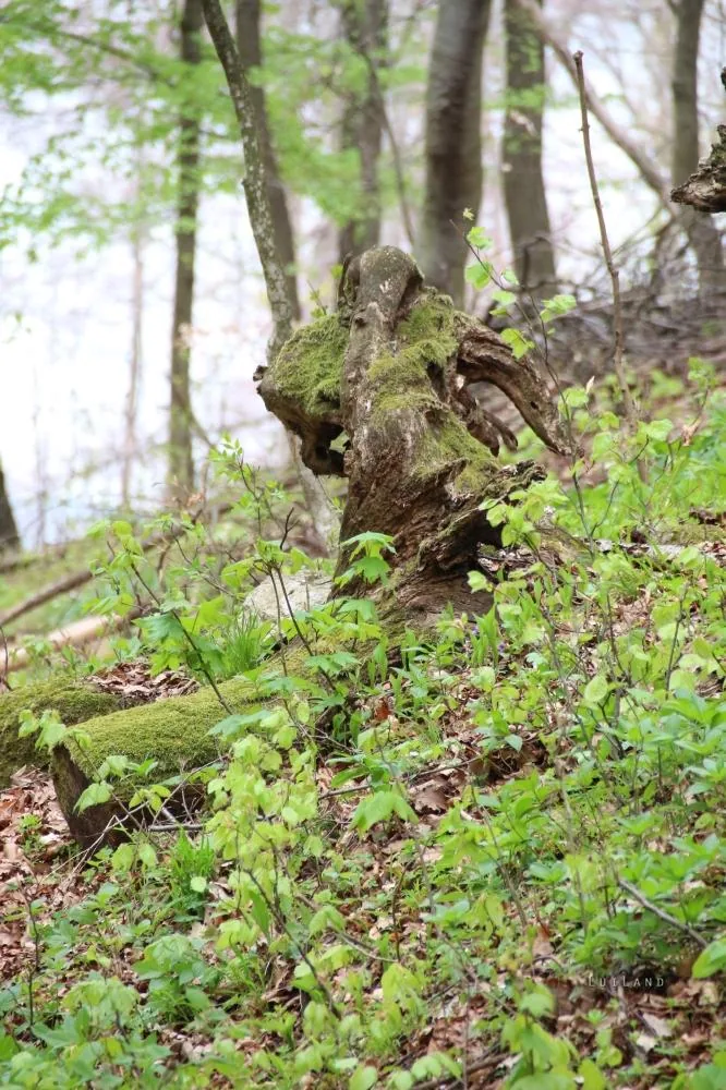 Fotók és kisfilm: Útirány.hu