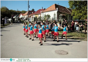 Szüreti Felvonulás